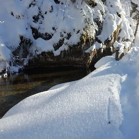 Ferienhaus-cerny * Bad Goisern