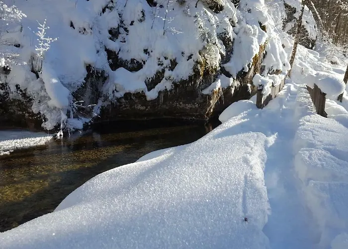 Ferienhaus-cerny * Bad Goisern