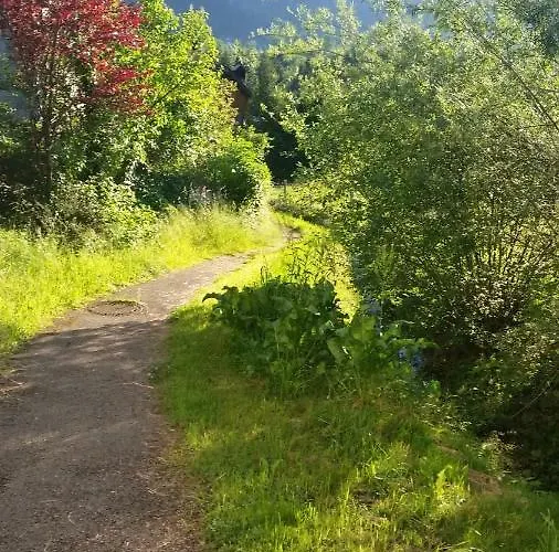 Prázdninový dům Ferienhaus-cerny *